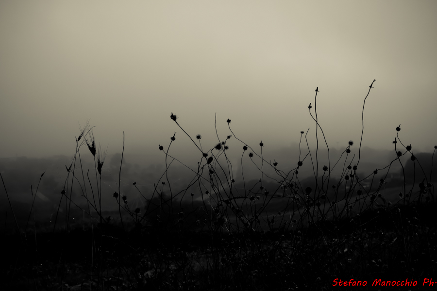 2014-09-10-Nella nebbia (6 of 9)